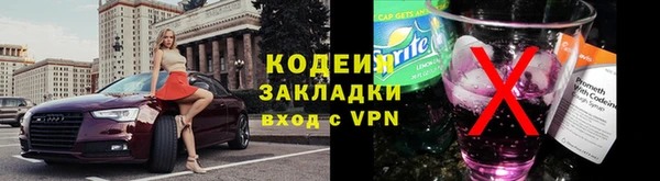 твердый Лагань