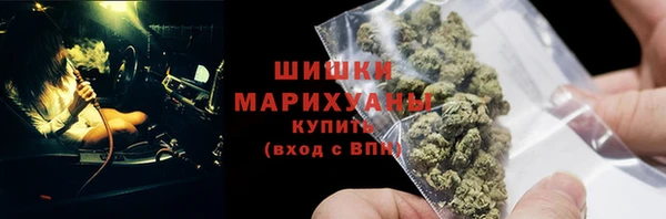 МДПВ Краснослободск