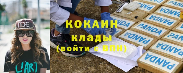 МДПВ Краснослободск
