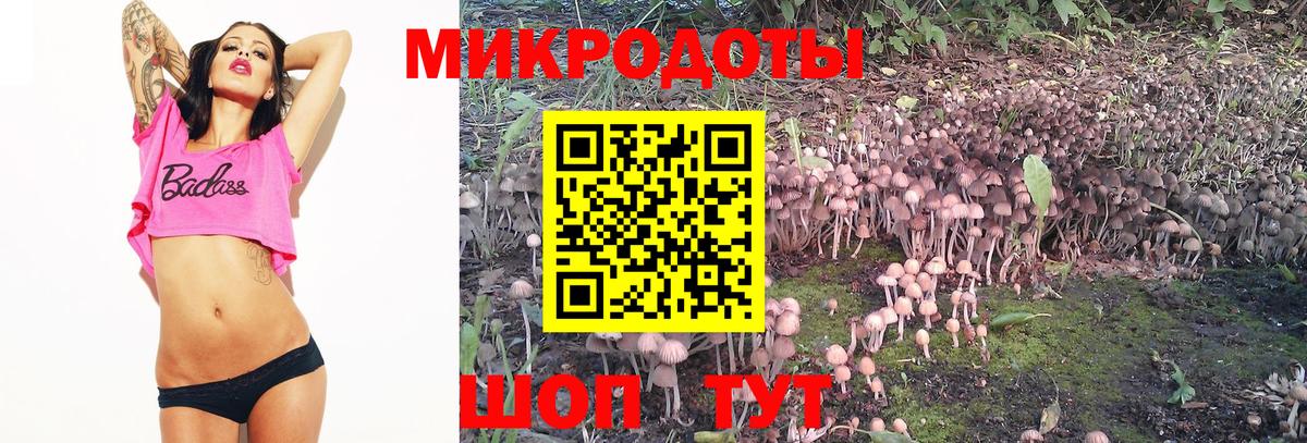 Псилоцибиновые грибы MAGIC MUSHROOMS Киржач