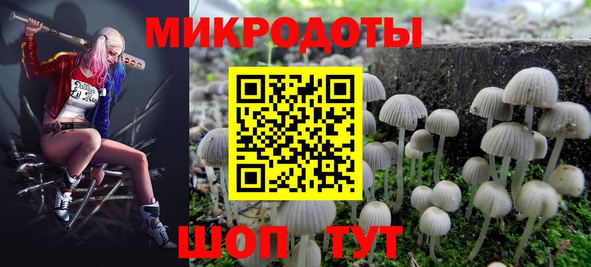 закладки  Вход с VPN  Киржач  Псилоцибиновые грибы Cubensis 